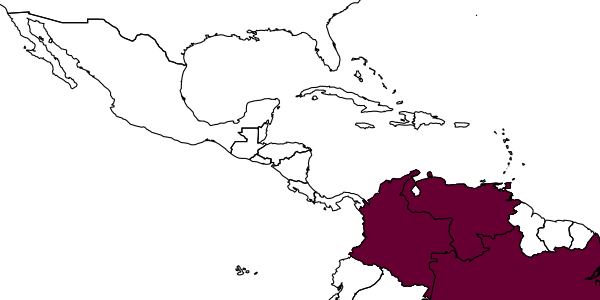 map of Vipio paraguayensis     Szépligeti, 1906